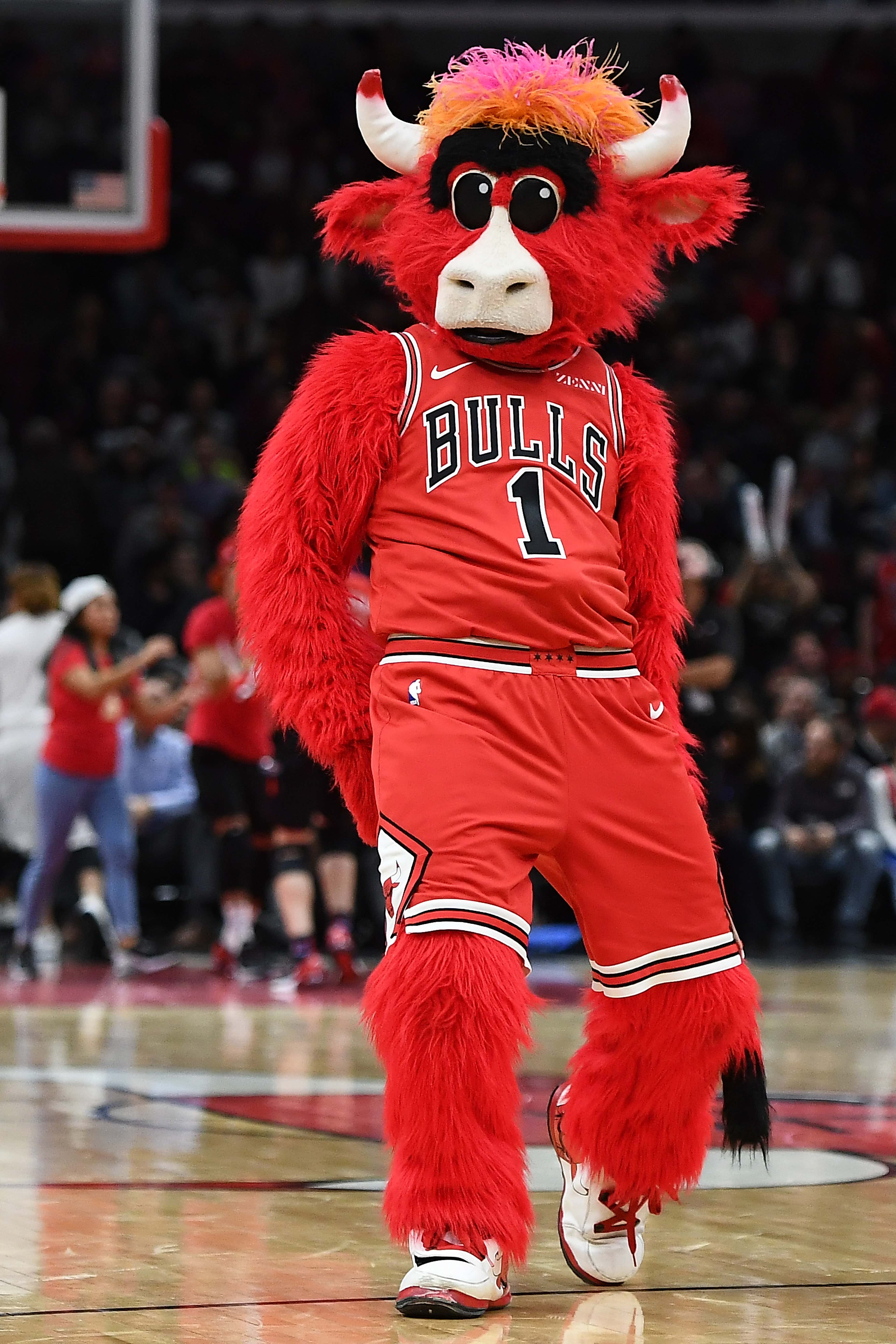 The Chicago Bulls Fucking Stink... Nice Win Though