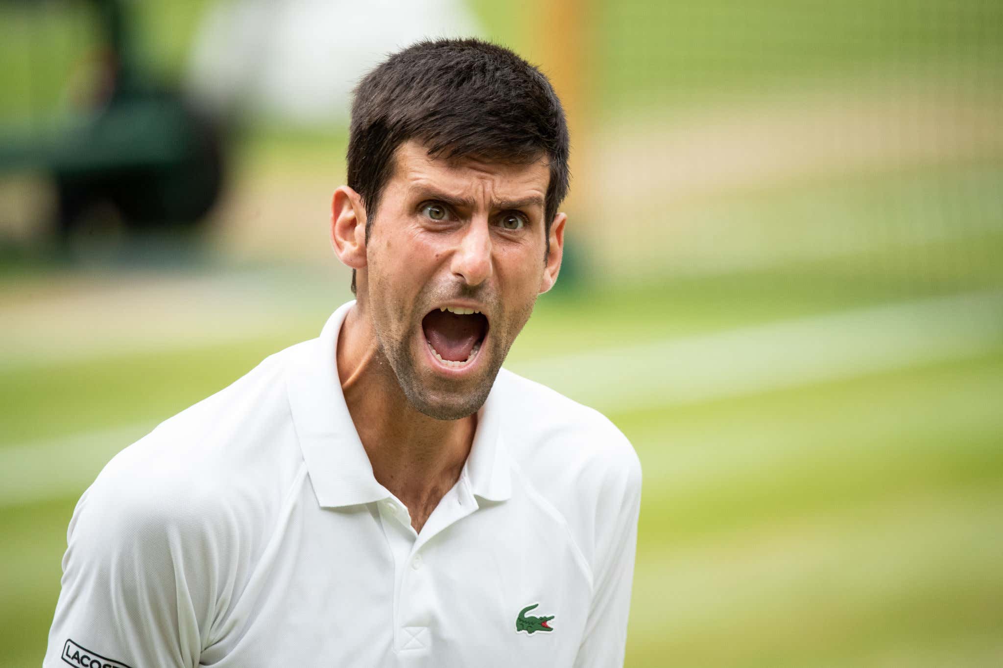 Novak Djokovic Has Been Denied Entry Into Australia After His Team ...