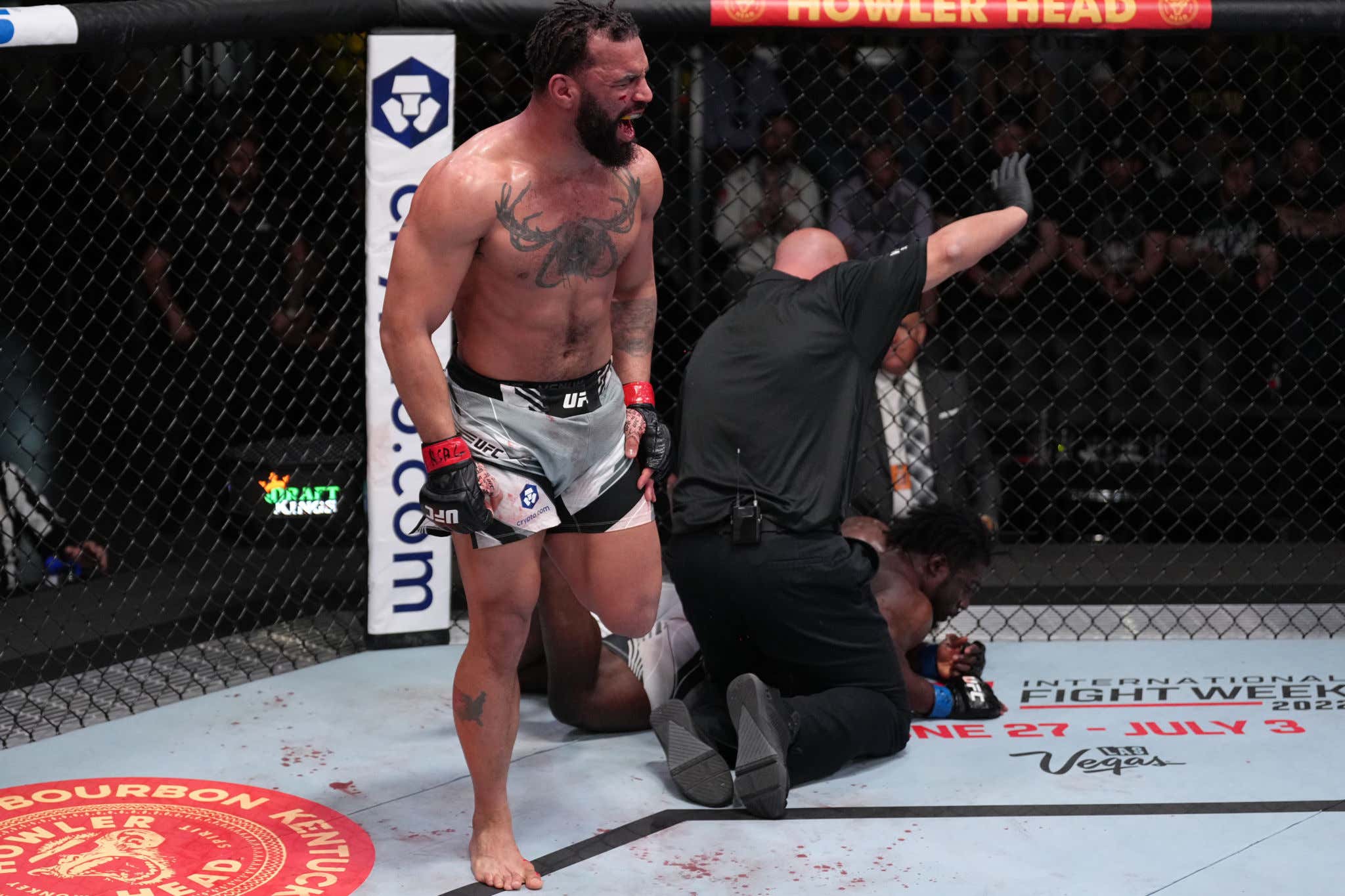 (VIDEO) All The KOs From UFC Prelims Tonight