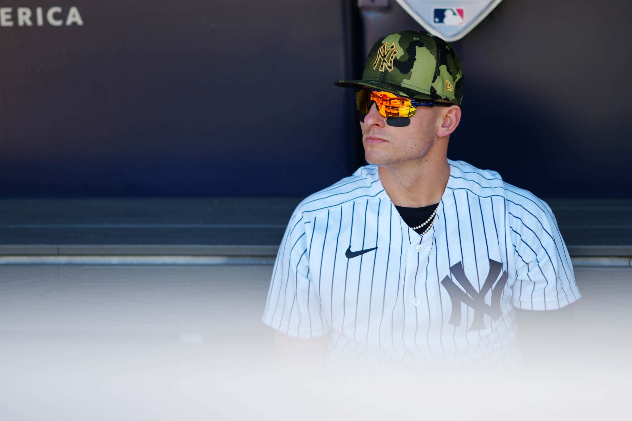 MLB Has Suspended Josh Donaldson One Game For His Incident With Tim Anderson On Saturday