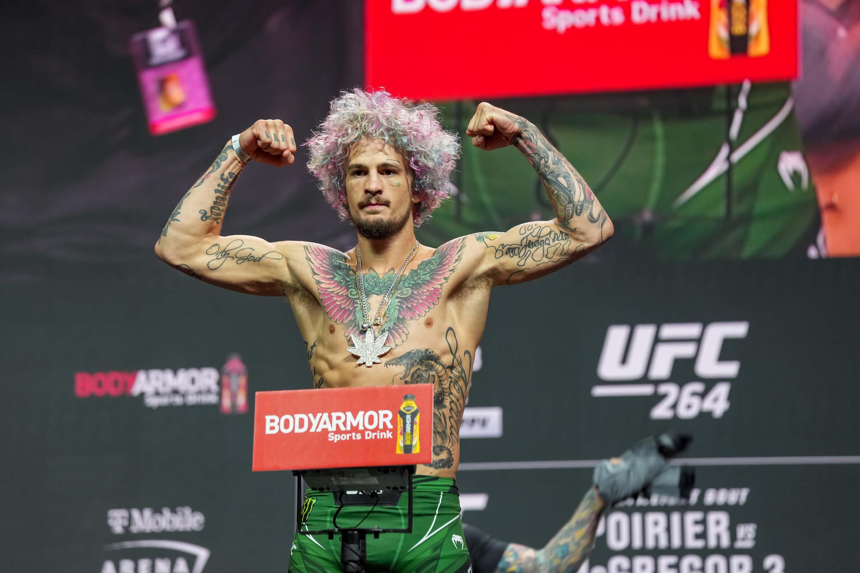 We Have A Massive UFC Card In Boston Tonight And The Dogs Are Barking