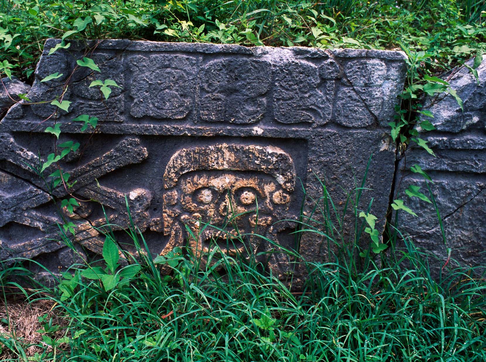 Scientists Used Lasers To Scan The Floor Of The Amazon And Found A Man