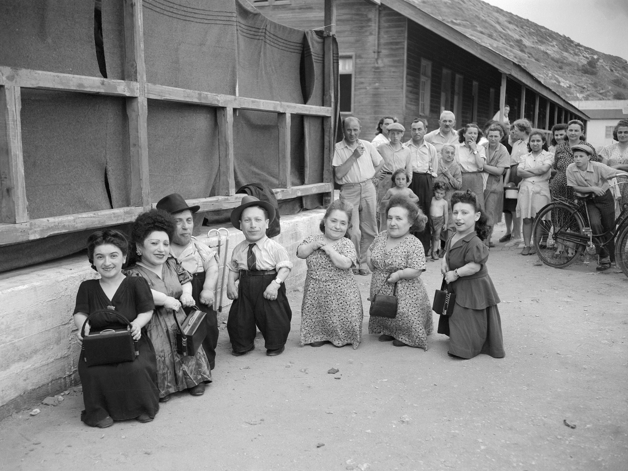 Hitler's Seven Dwarfs