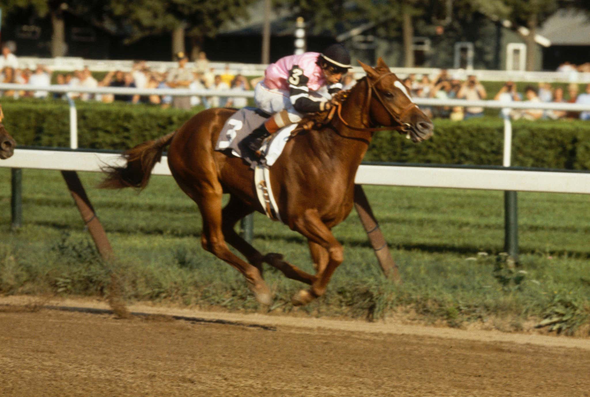 On This Date in Sports June 10, 1978: Greatness Affirmed