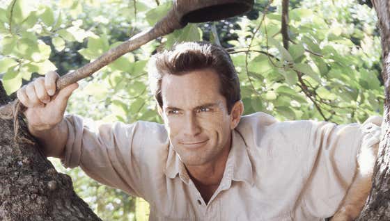 This Survivor Season Has Some Of The Best And Worst Gameplay I've Ever Seen