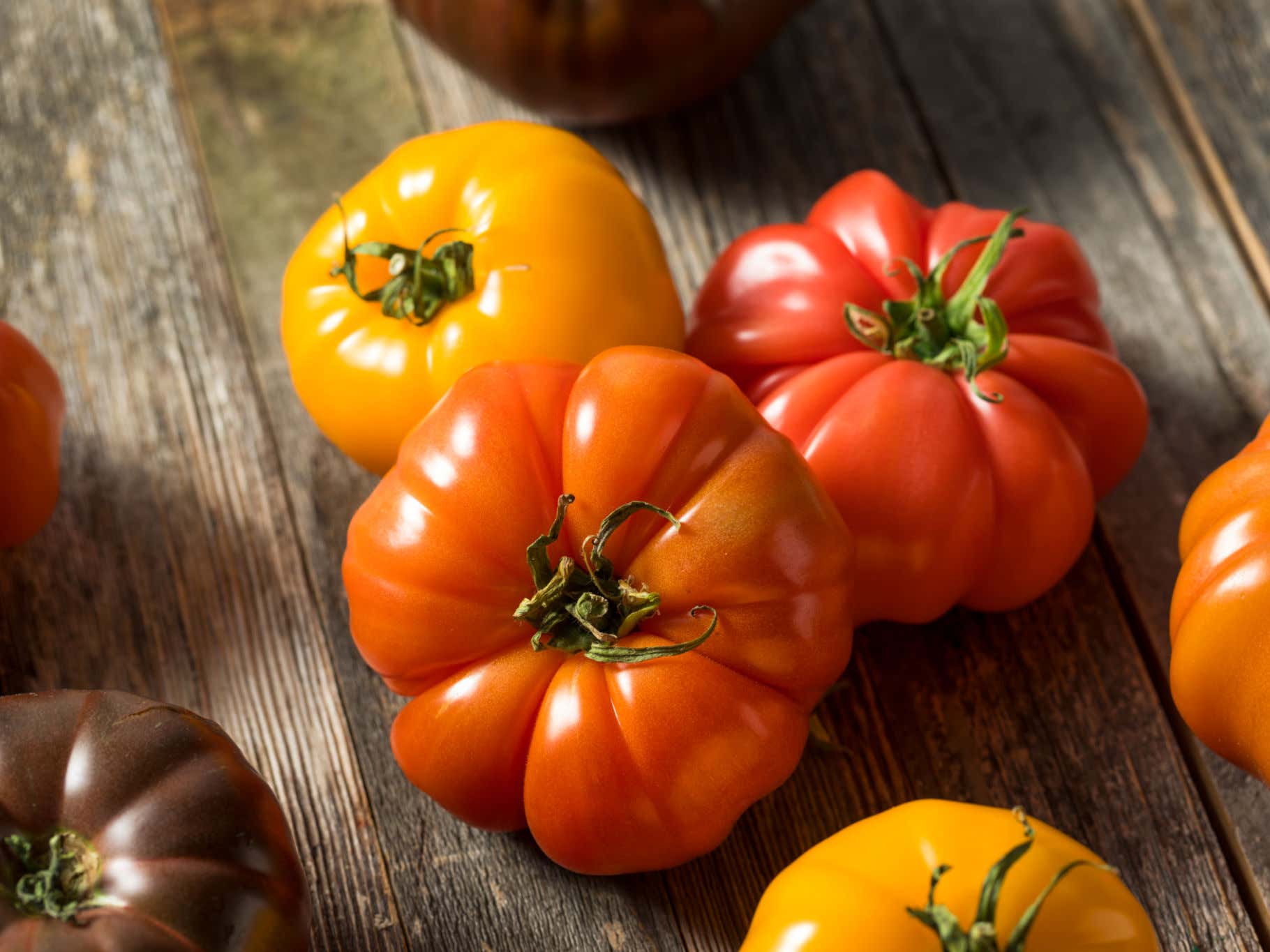 The Tomato Sandwich Is Officially The Barstool Jordie Sandwich Of The