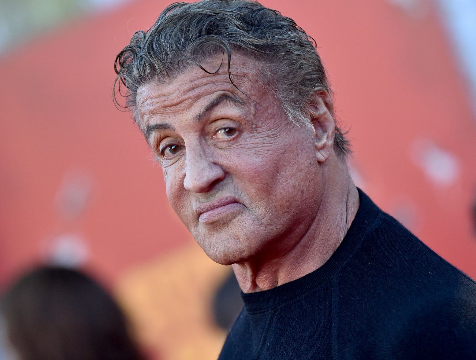 Sly Stallone's Wife Divorces Him Over Rottweiler Named Dwight & Then Covers Tattoo Of Her Face With, Butkus, The Dog From The Rocky Films