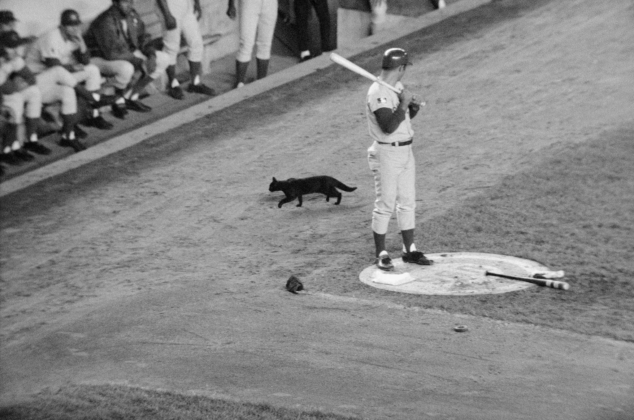 On This Date in Sports September 9, 1969: The Black Cat Game