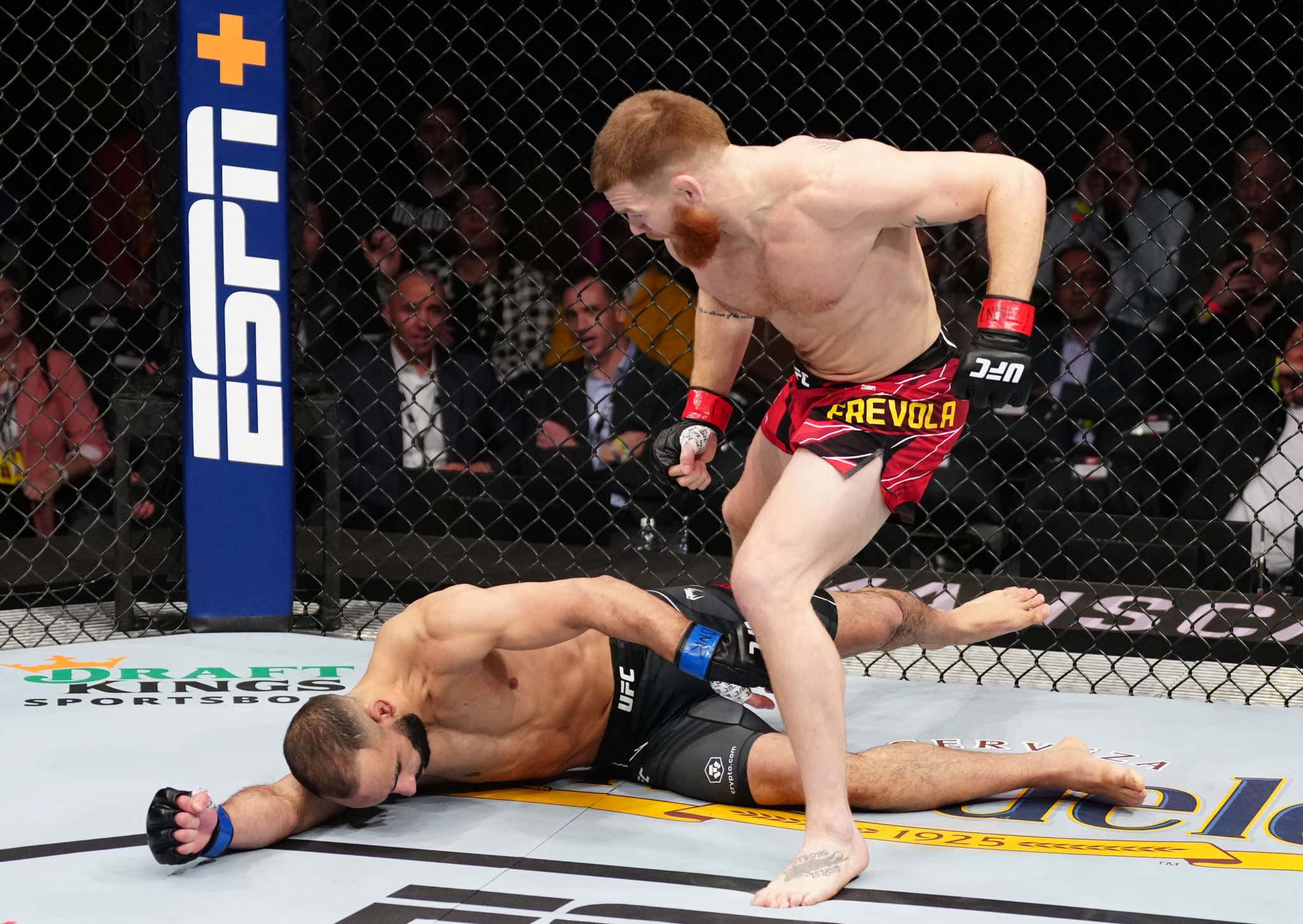 Matt "The Steamrolla" Frevola Scores A First Round KO And Calls Out Paddy The Baddy