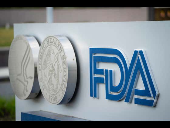 Fda Bug REPORT: The FDA Allows Rat Hair, Bug Legs, Animal Shit And Other ...