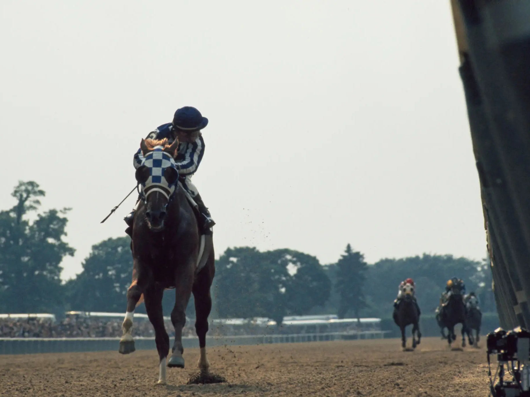 Best Of 2024 - We Should Dig Up Secretariat’s Dead Body and Drug Test It