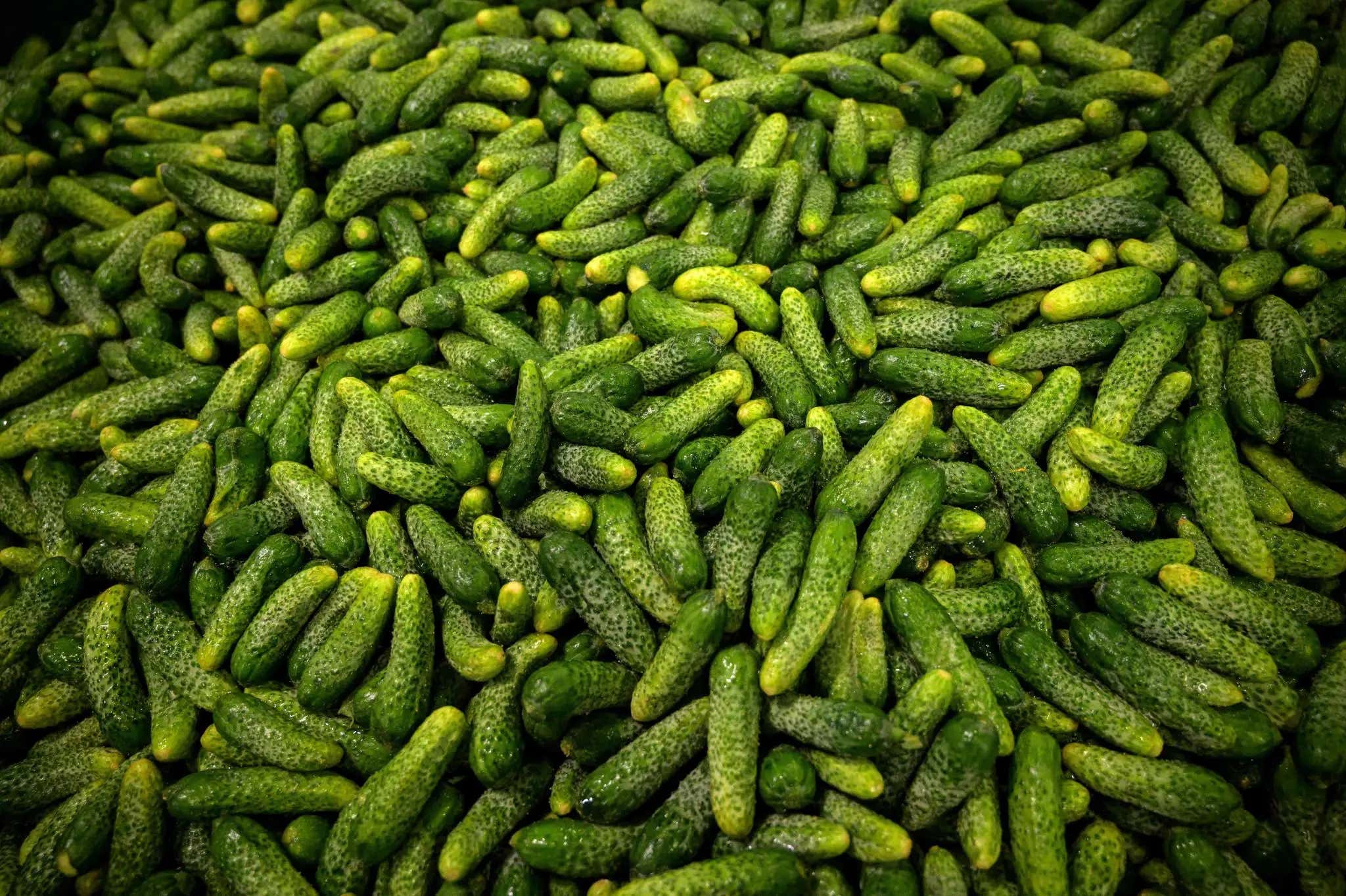 What A Pickle! Grillo's Pickles Sues Patriot Pickle For Allegedly Stealing It's Recipe