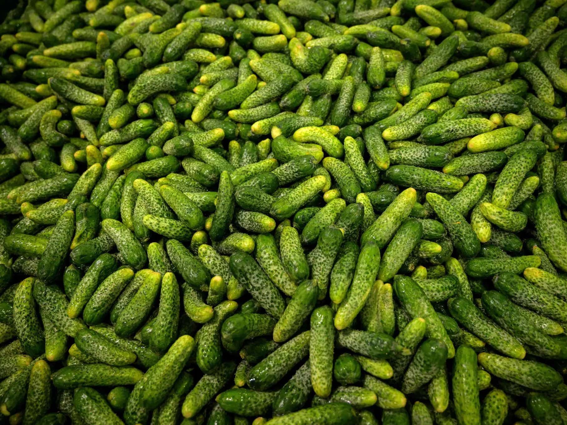 What A Pickle! Grillo's Pickles Sues Patriot Pickle For Allegedly