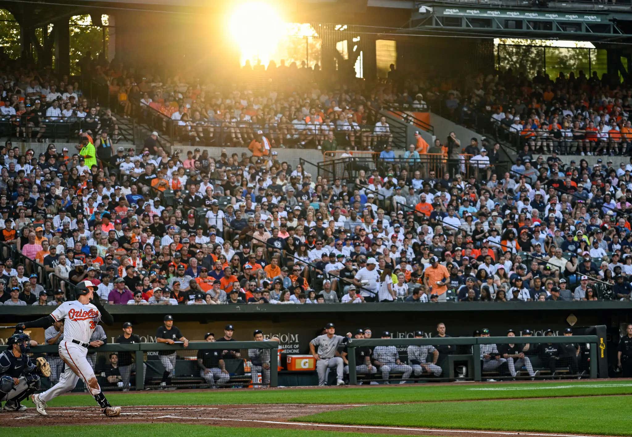 There's Not A Better Scene In Baseball Than A Packed Camden Yards And The Orioles Looking Like The Best Team In The AL