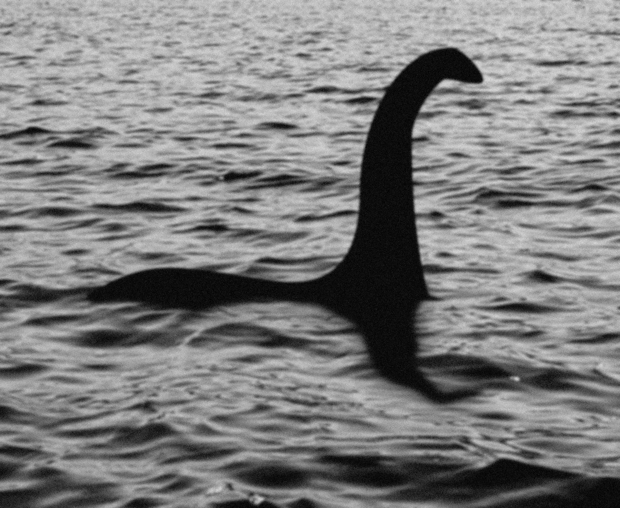 Pack Your Bags Fellas, We're Going Monster Hunting! The Loch Ness Centre Is Looking For Volunteers To Help Find The Loch Ness Monster