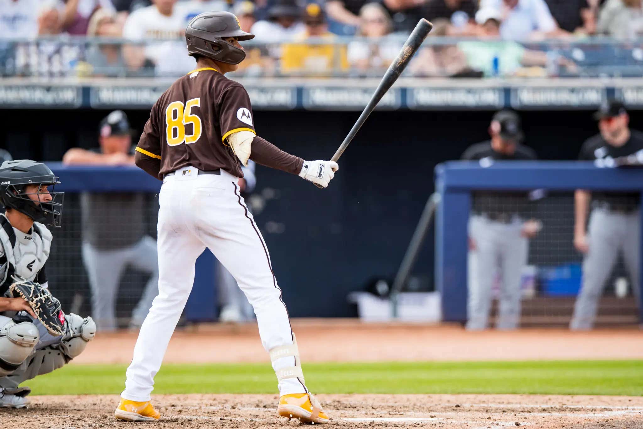 Meet Padres Prospect Ethan Salas, The #5 Ranked Prospect In Baseball......Who Just Happens To Be 17 Years-Old!