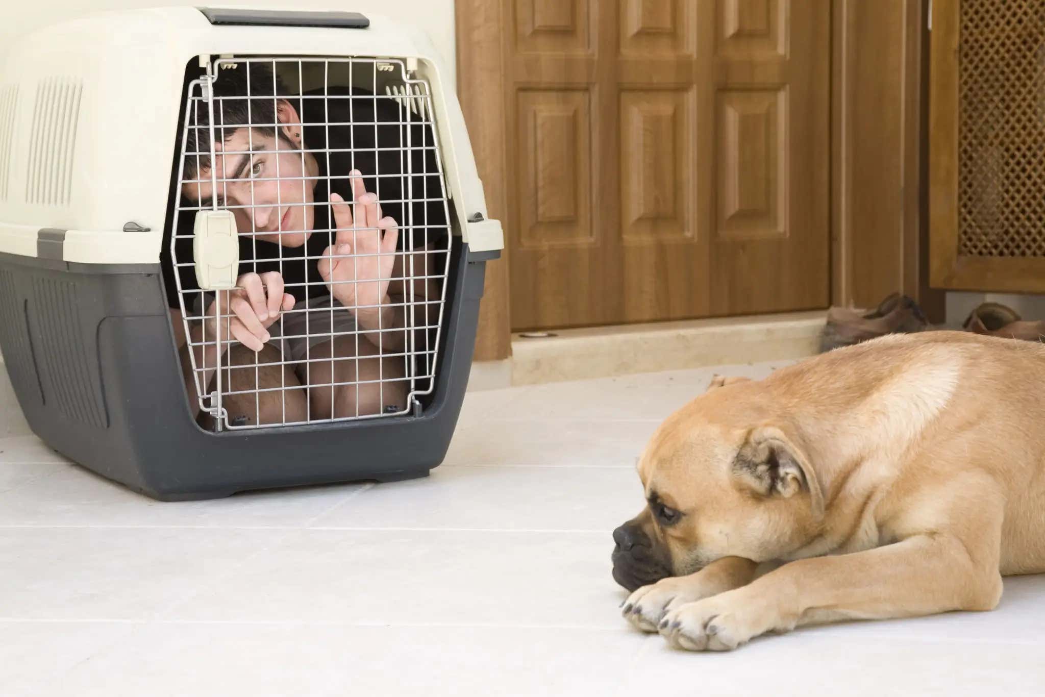 A 28-Year-Old Is Locking Himself In A Cage Across College Campuses And No One Knows Why