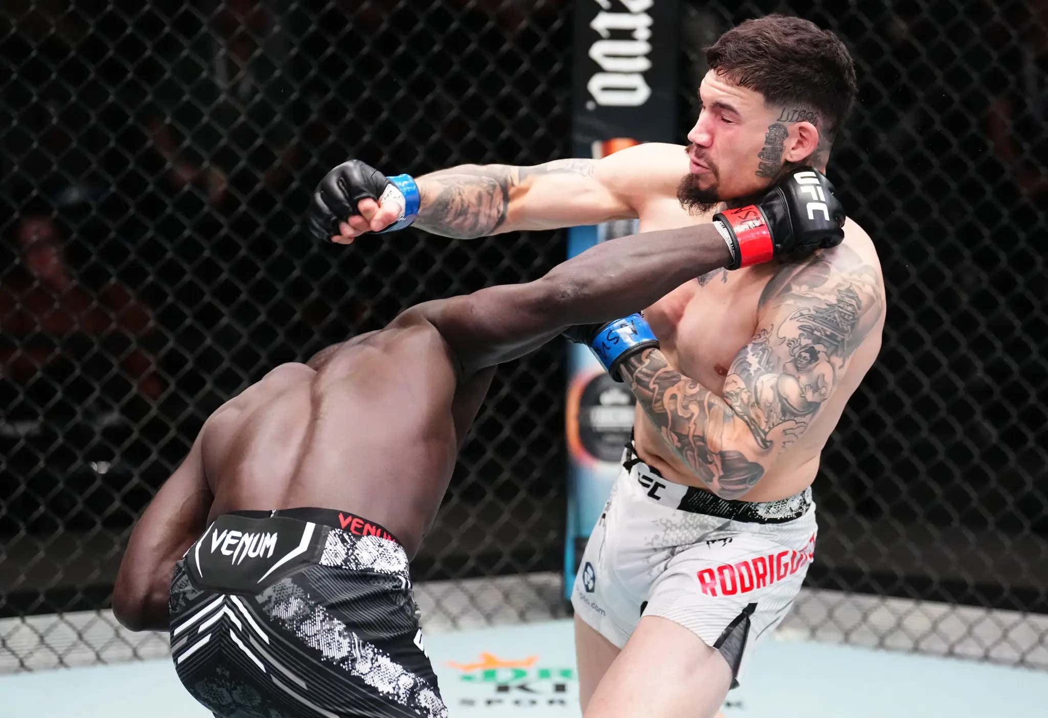 The Rock's Favorite UFC Fighter (Who He Bought A House For) Just Delivered An AWESOME KO 30 Seconds Into His Fight