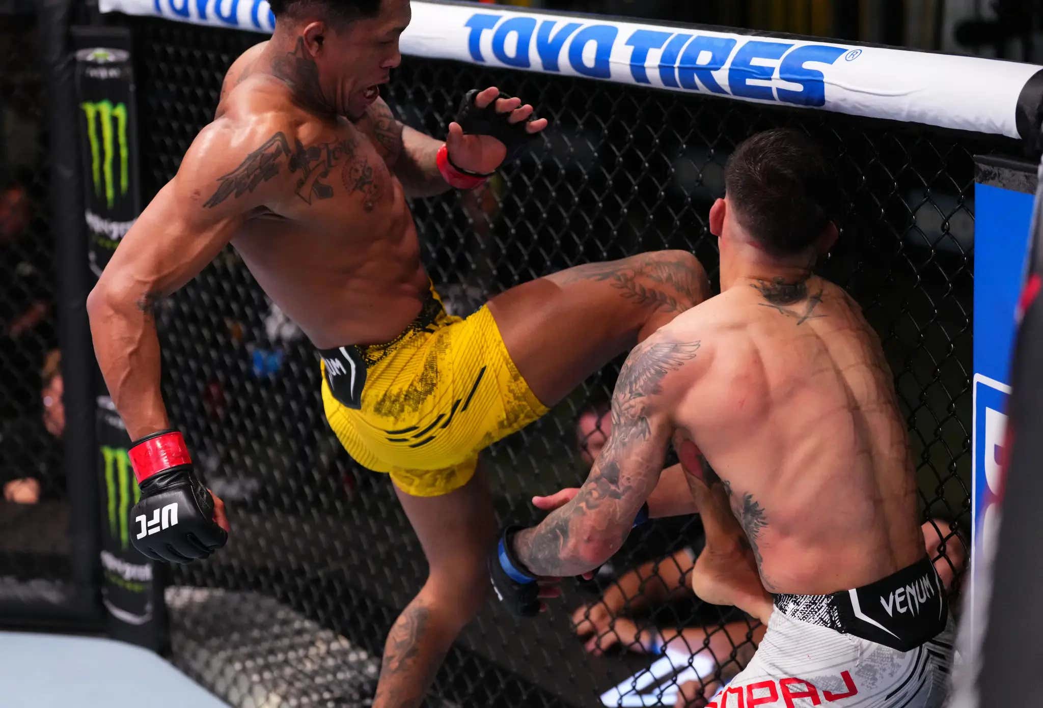 Vinicius Oliveira Just Landed One Of The Craziest Flying Knee KOs I've Ever Seen