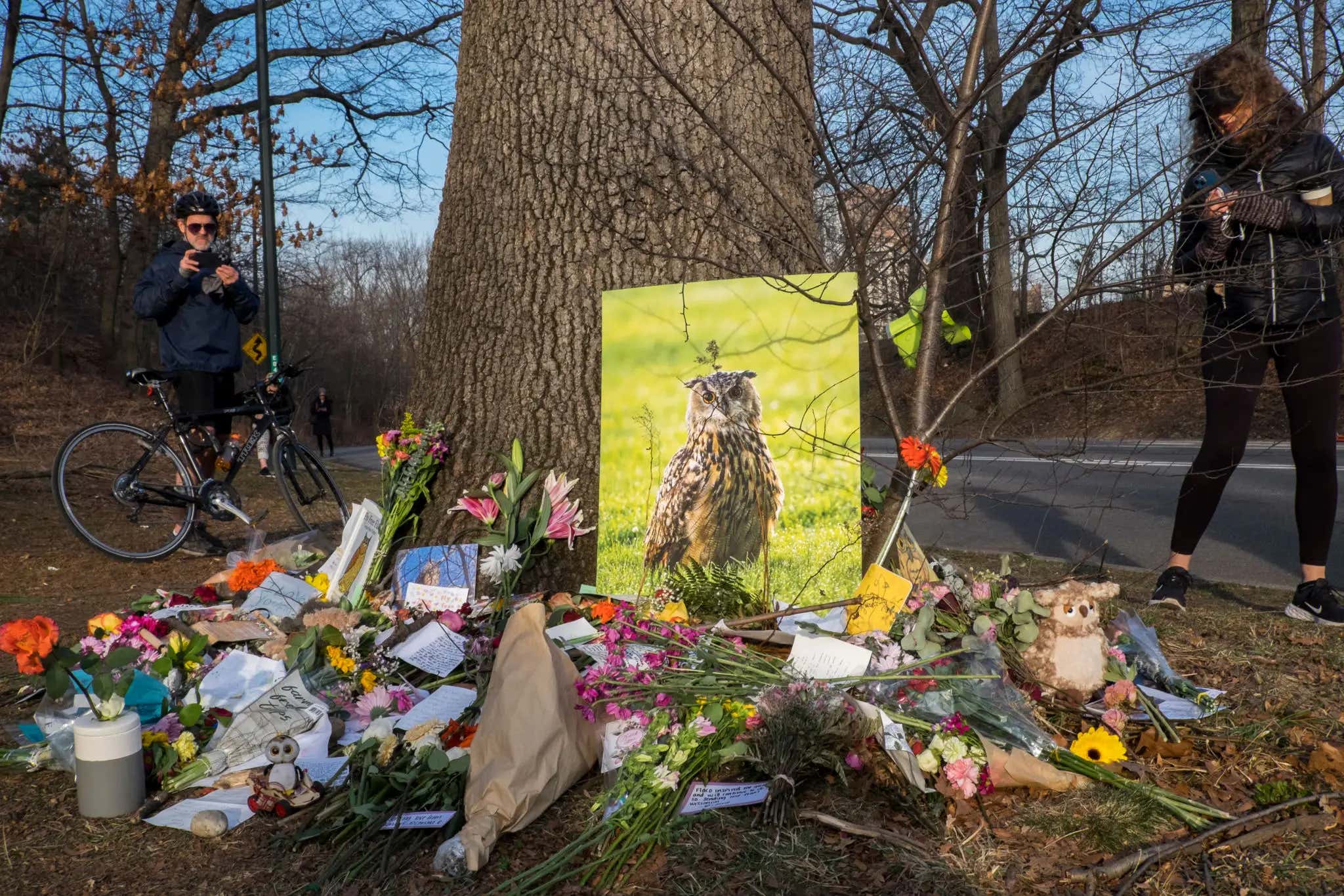 Best Of 2024 - The Toxicology Reports Are In: Our Sweet Flaco Was In Fact, Murdered By The Negligence Of New York City