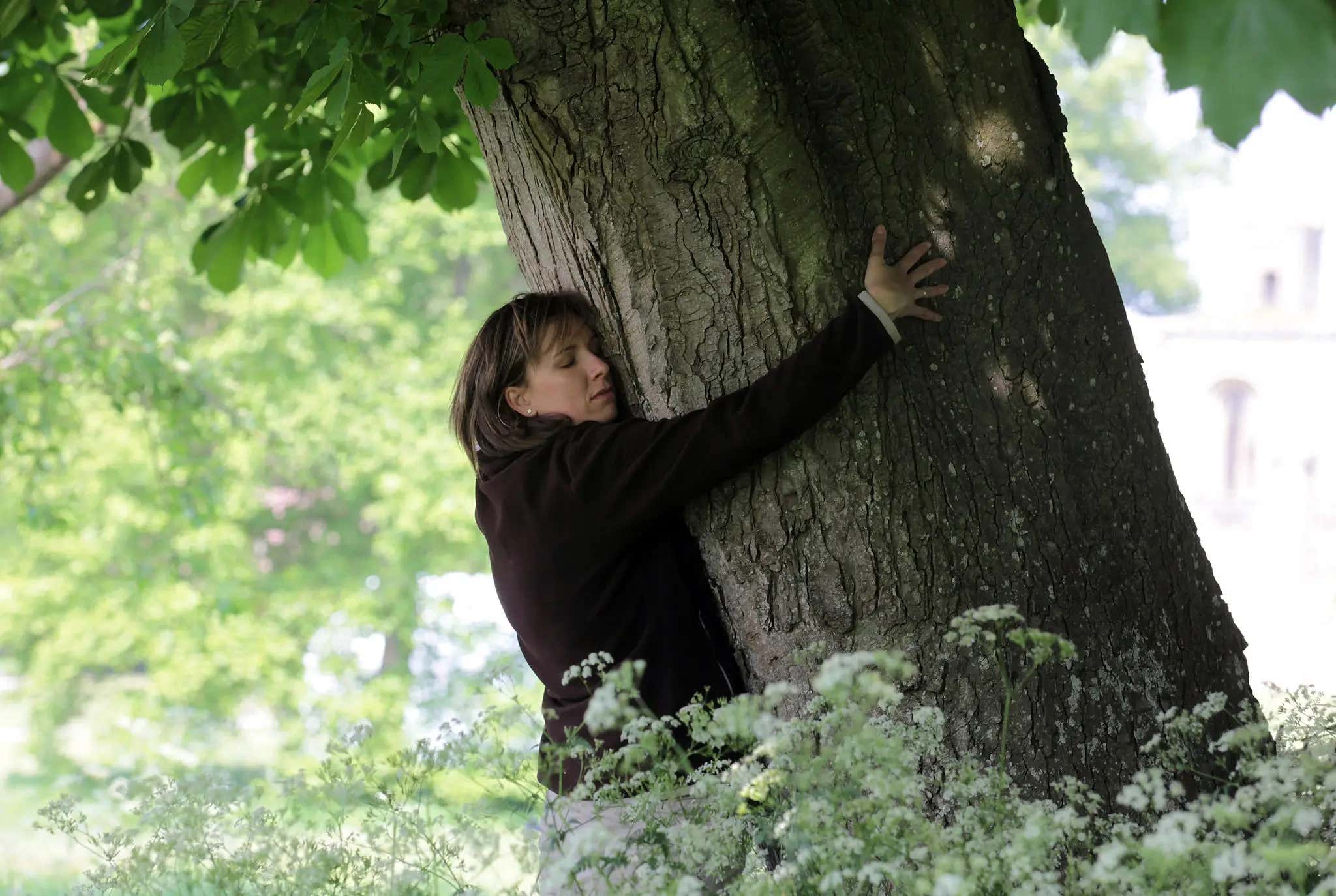 We Need A Jerry After Dark Stream Trying To Break The Record For Most Trees Hugged In An Hour