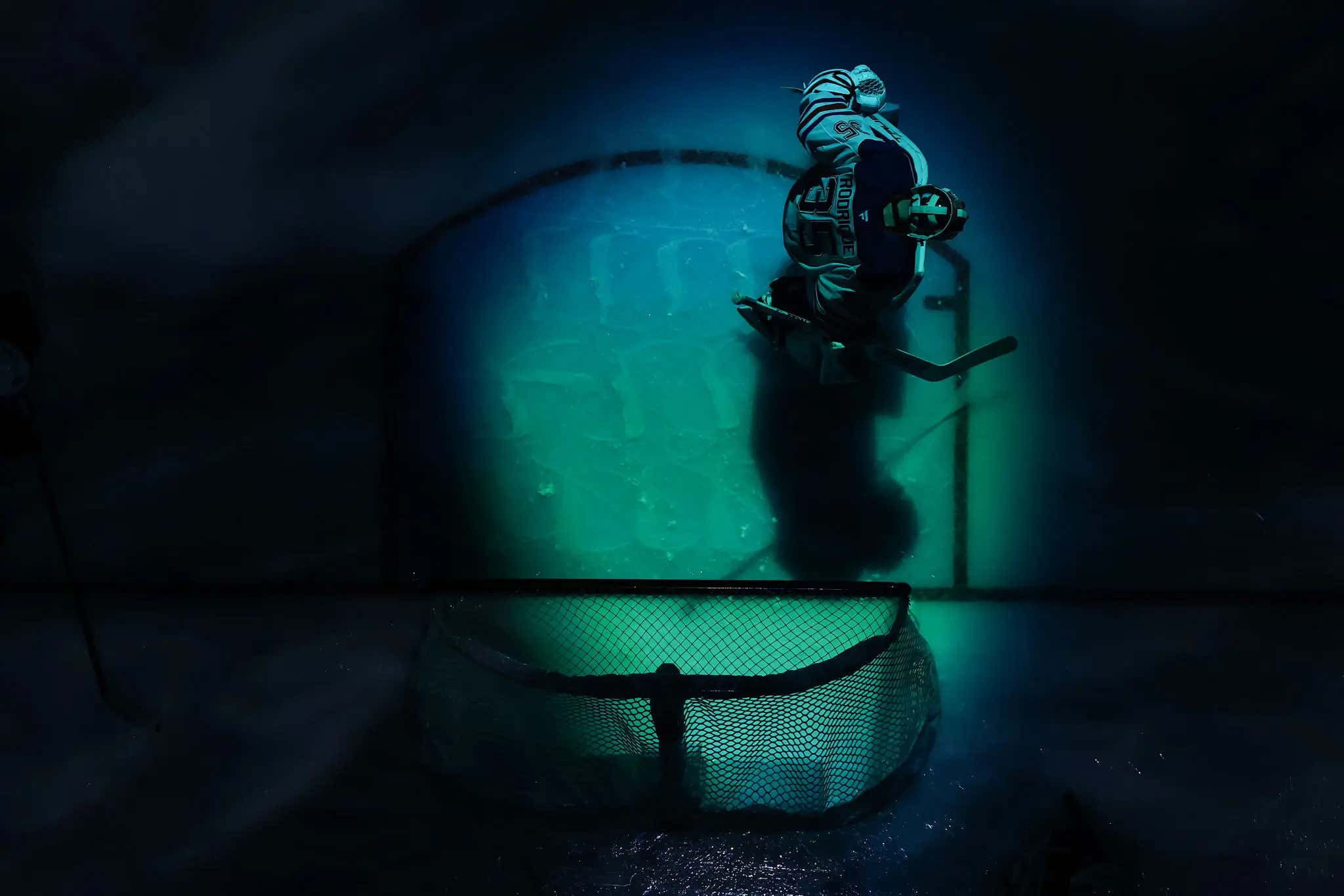 Tank's 2024/25 NHL Preview and Predictions