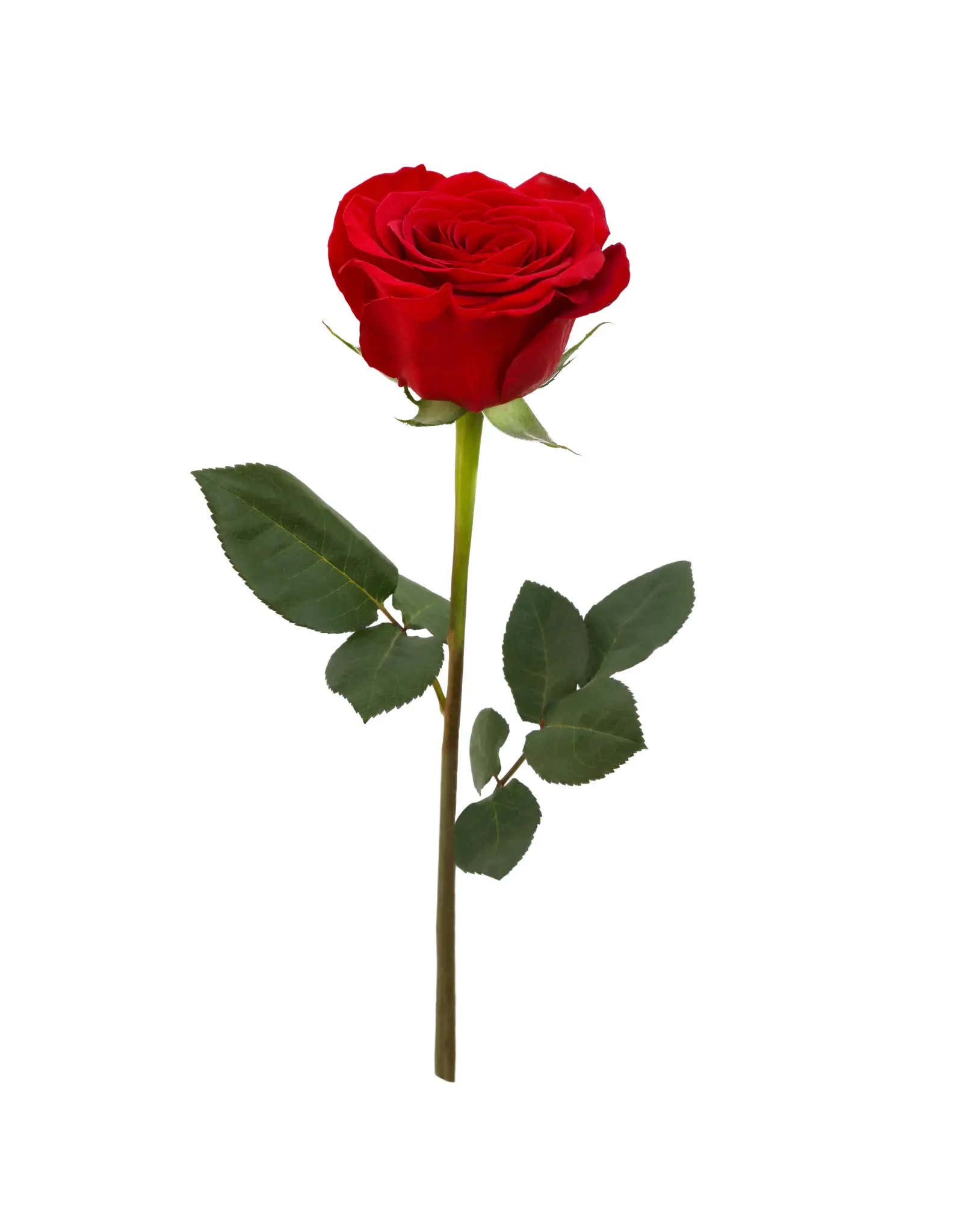 Our Next Dating Show Contestant Has Been Revealed