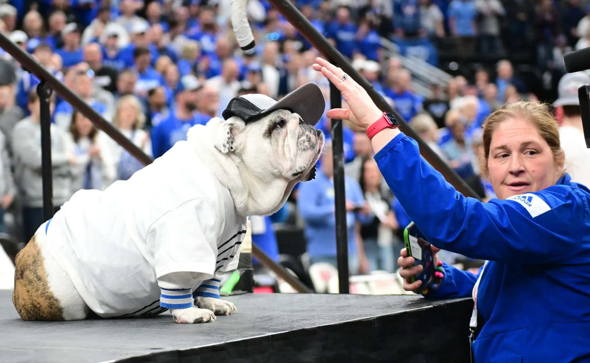 LET THE GOOD BOY IN - Drake's AD And Fans Are Leading A Fight To Demand The NCAA Let Its Mascot Attend Tournament Games