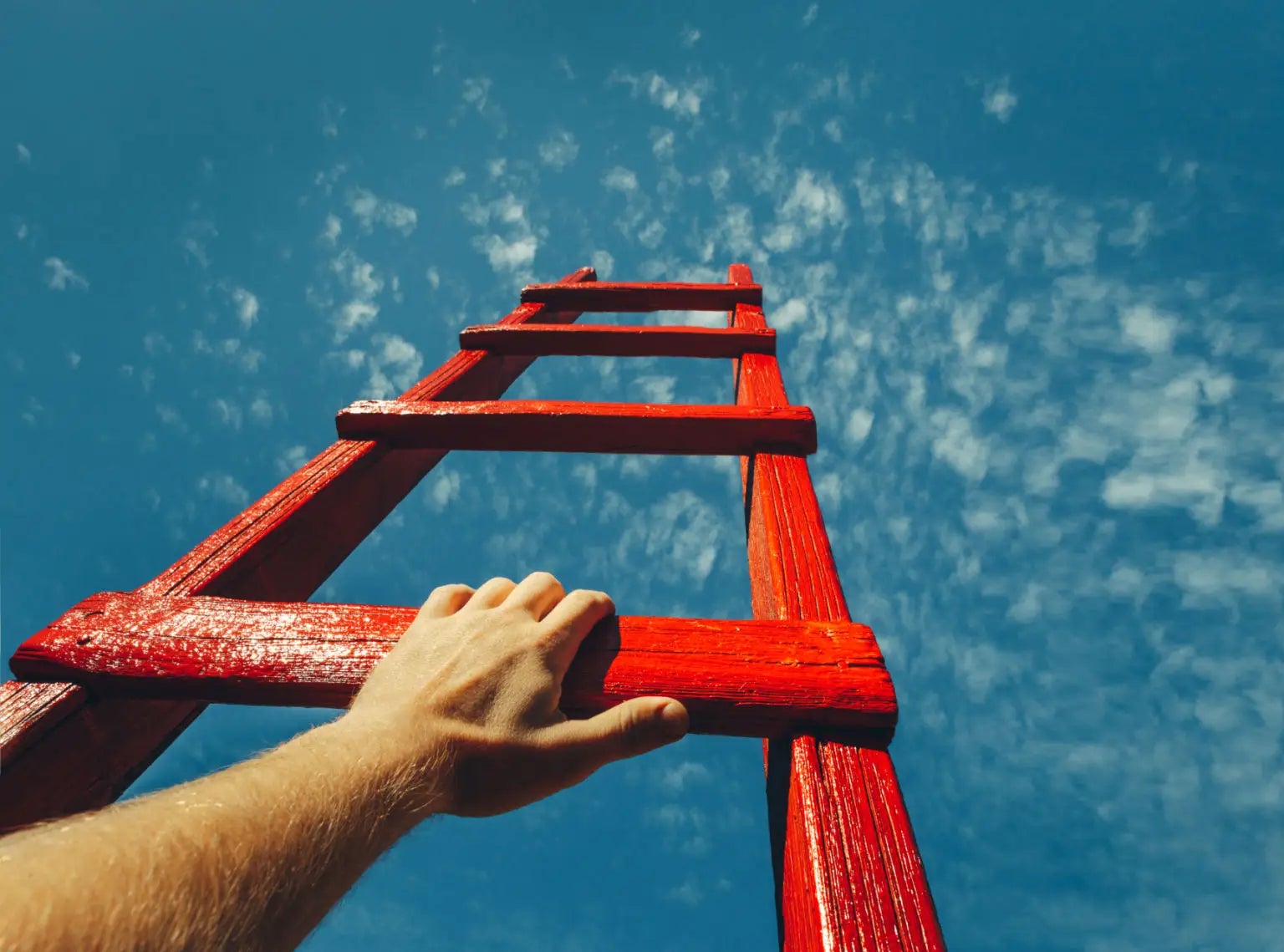 I Have Created A 7-Day Ladder Challenge To Try And Turn $10 Into $1,000