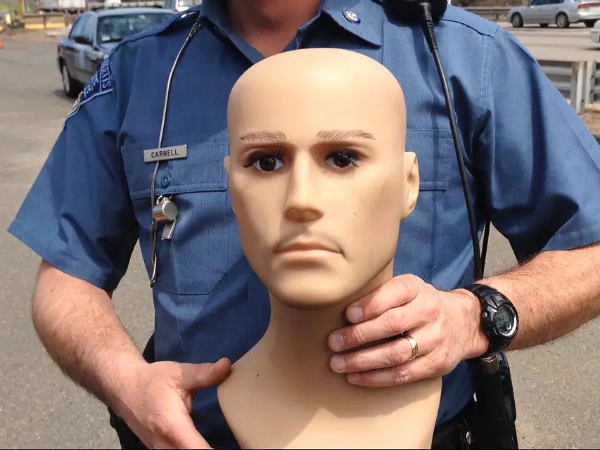 You Have To Respect The Effort Of These People Using Dummies To Drive In The HOV Lane