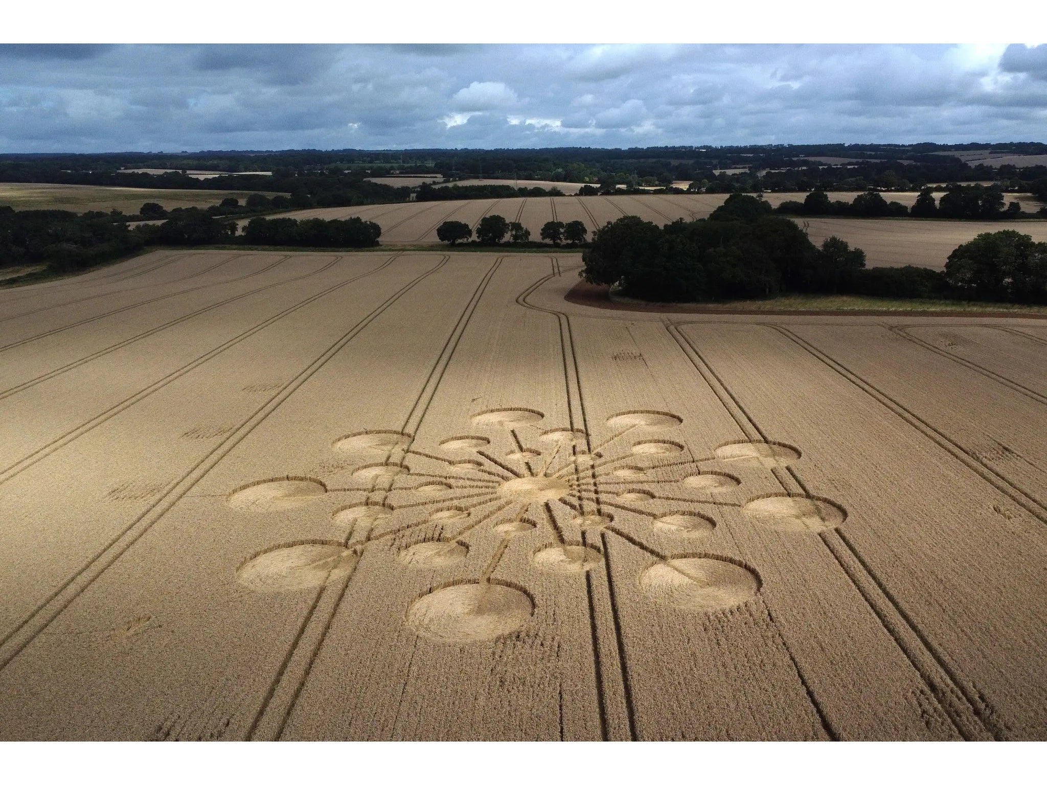 Joe Rogan Taking a Deep Dive Into Crop Circles is the Conspiracy Theory We Can All Get Behind
