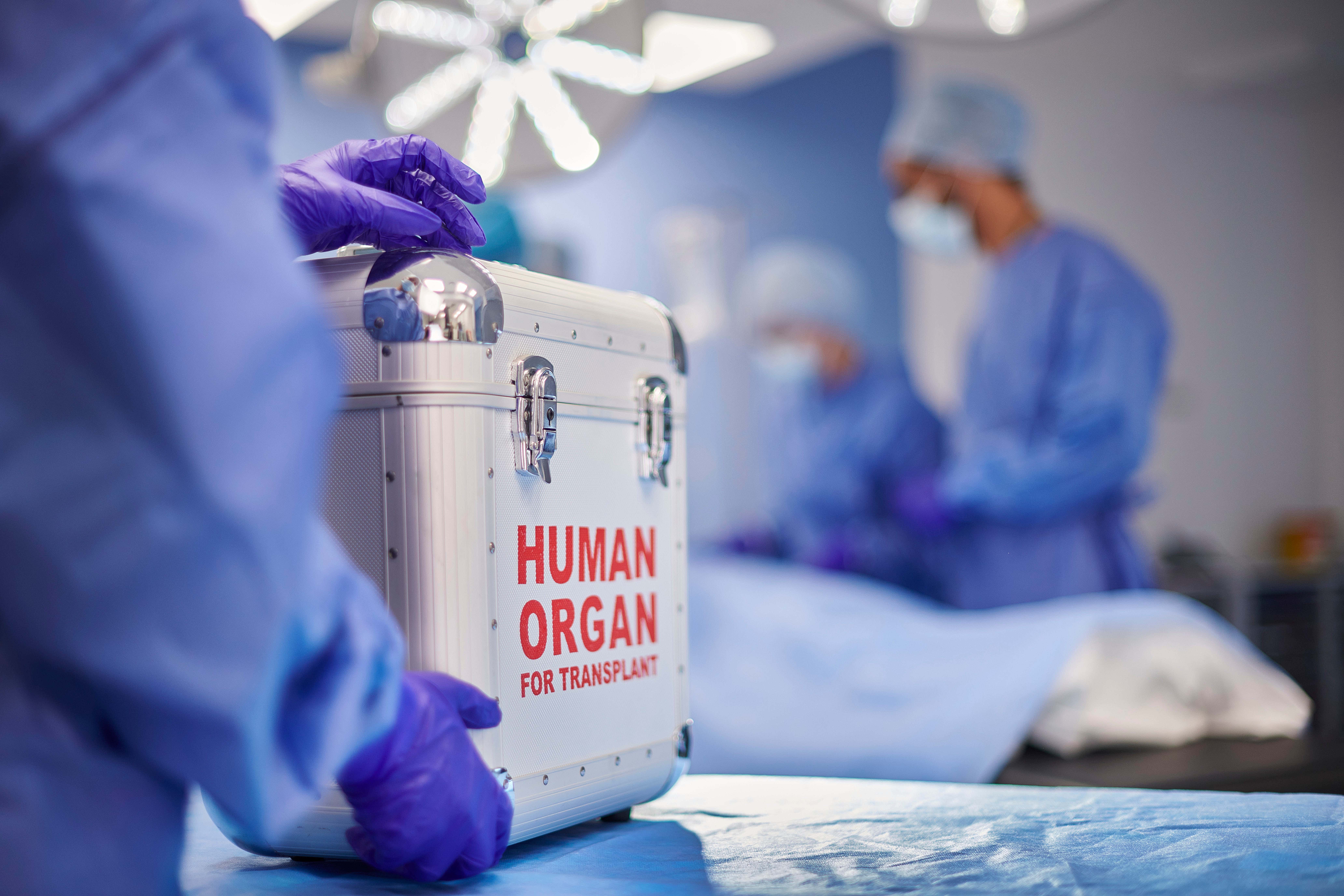 Conspiracy Confirmed: Hospitals Are Harvesting Organs From Donors Who Are Still Showing Signs of Life