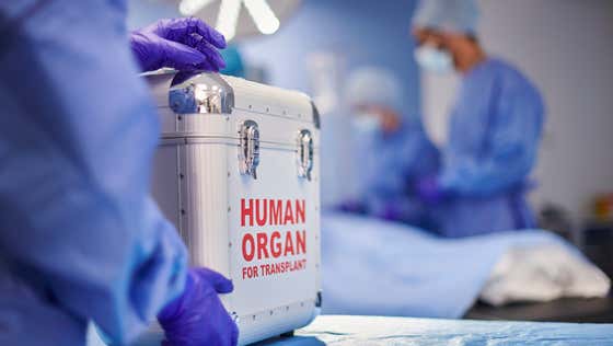 Conspiracy Confirmed: Hospitals Are Harvesting Organs From Donors Who Are Still Showing Signs of Life