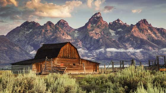 I Am Going On A Cattle Drive Next Week In Wyoming And I Need All The Advice I Can Get