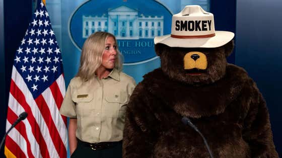 Florida Man Who Stole Smokey The Bear Signs to Sell on Facebook Marketplace Was Arrested By Smokey The Bear