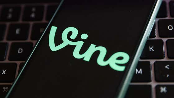 The Original Vine Video Archive Has Been Found And X Developers Are Working On Allowing You To Watch Old Vines