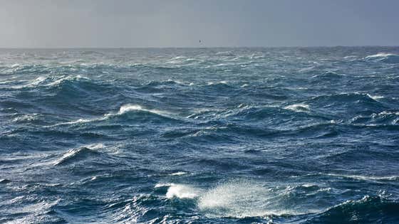 Four Guys Are ROWING ACROSS THE ATLANTIC OCEAN And Somehow This Isn't The Biggest Story In The World