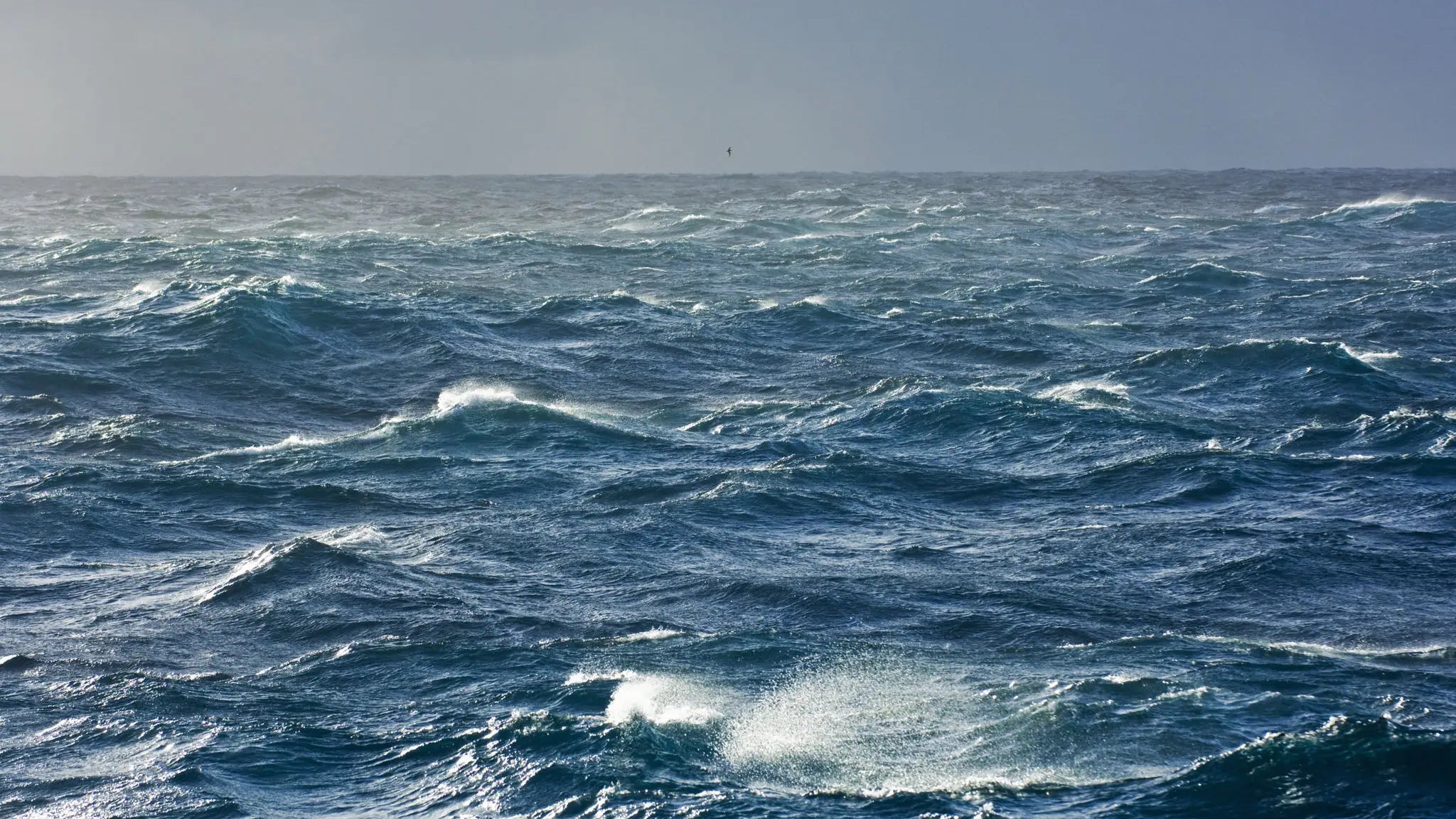 Four Guys Are ROWING ACROSS THE ATLANTIC OCEAN And Somehow This Isn't The Biggest Story In The World