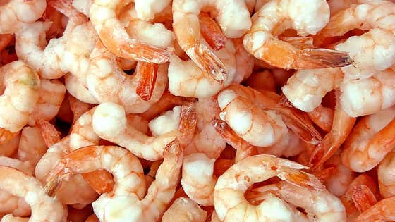 Oh Well That's Just Great! Now The Shrimp Is Radioactive