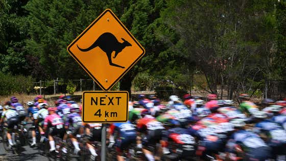 This Kangaroo Is The Biggest Cheater In Cycling Since Lance Armstrong ...