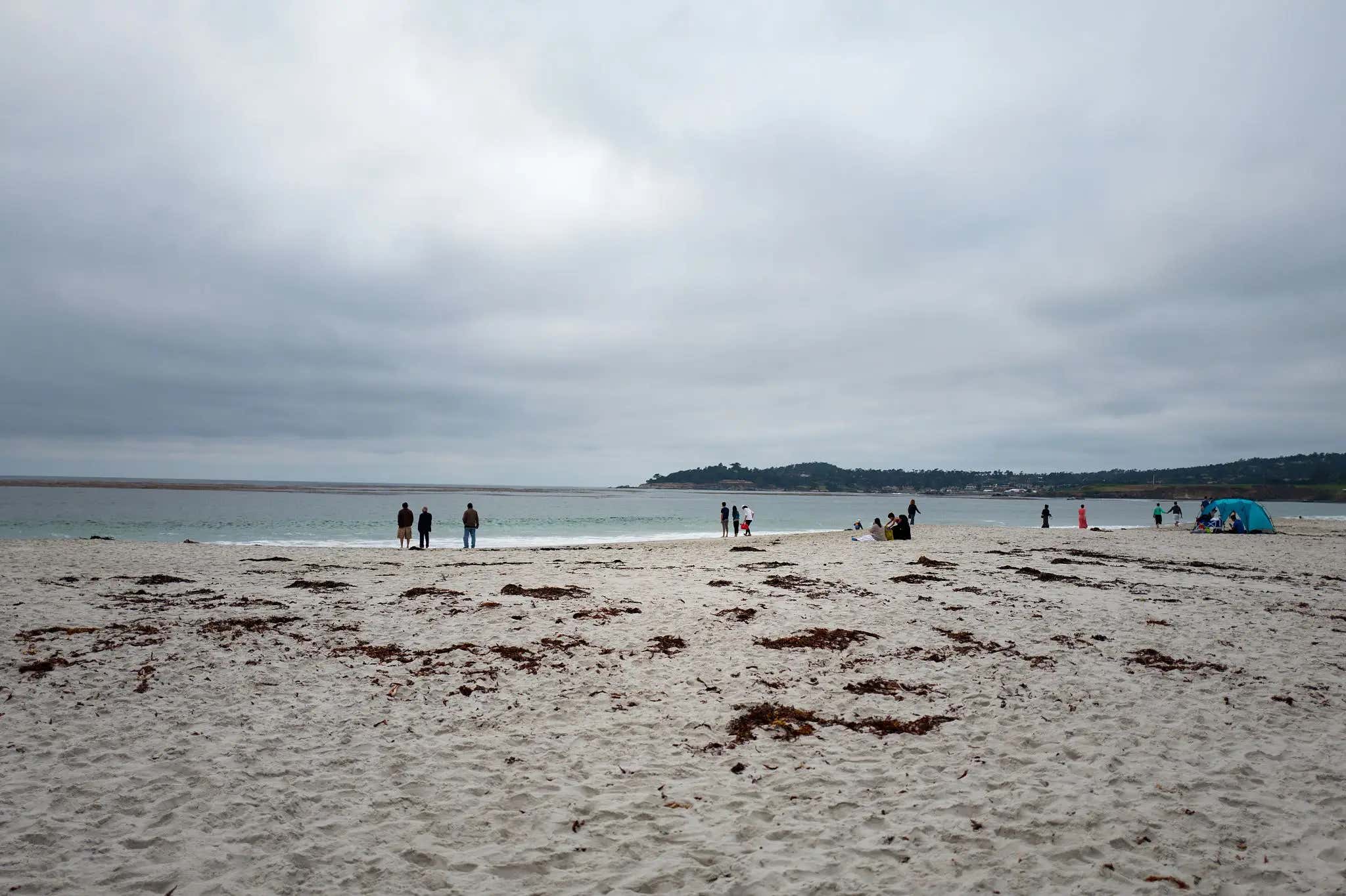 Today in Australians Aren't Real – 13-Year Old Kid Swims 2.5 Miles Through Ocean Waters, Then Ran Over a Mile to Save His Family Stranded at Sea