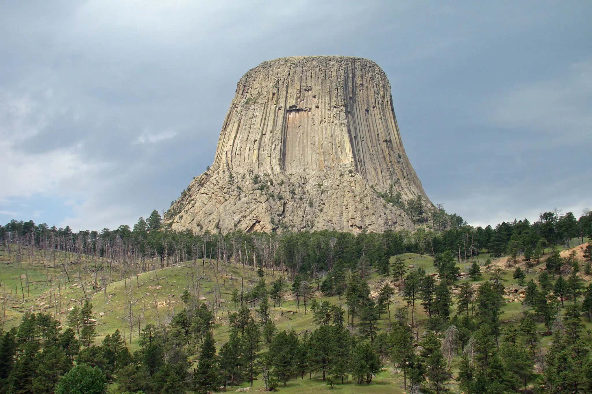 Watch This When You're High - The Theory That "Mountains Are Really Trees"