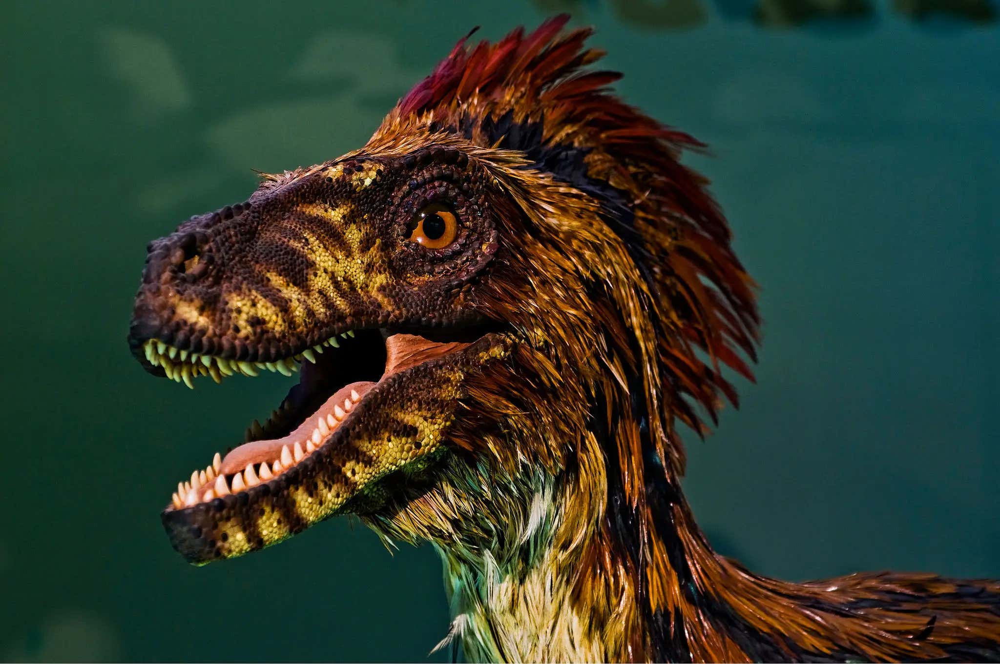 The Netflix Dinosaur Documentary Is So Mind-Blowing I Get Why People Don't Believe In Dinosaurs