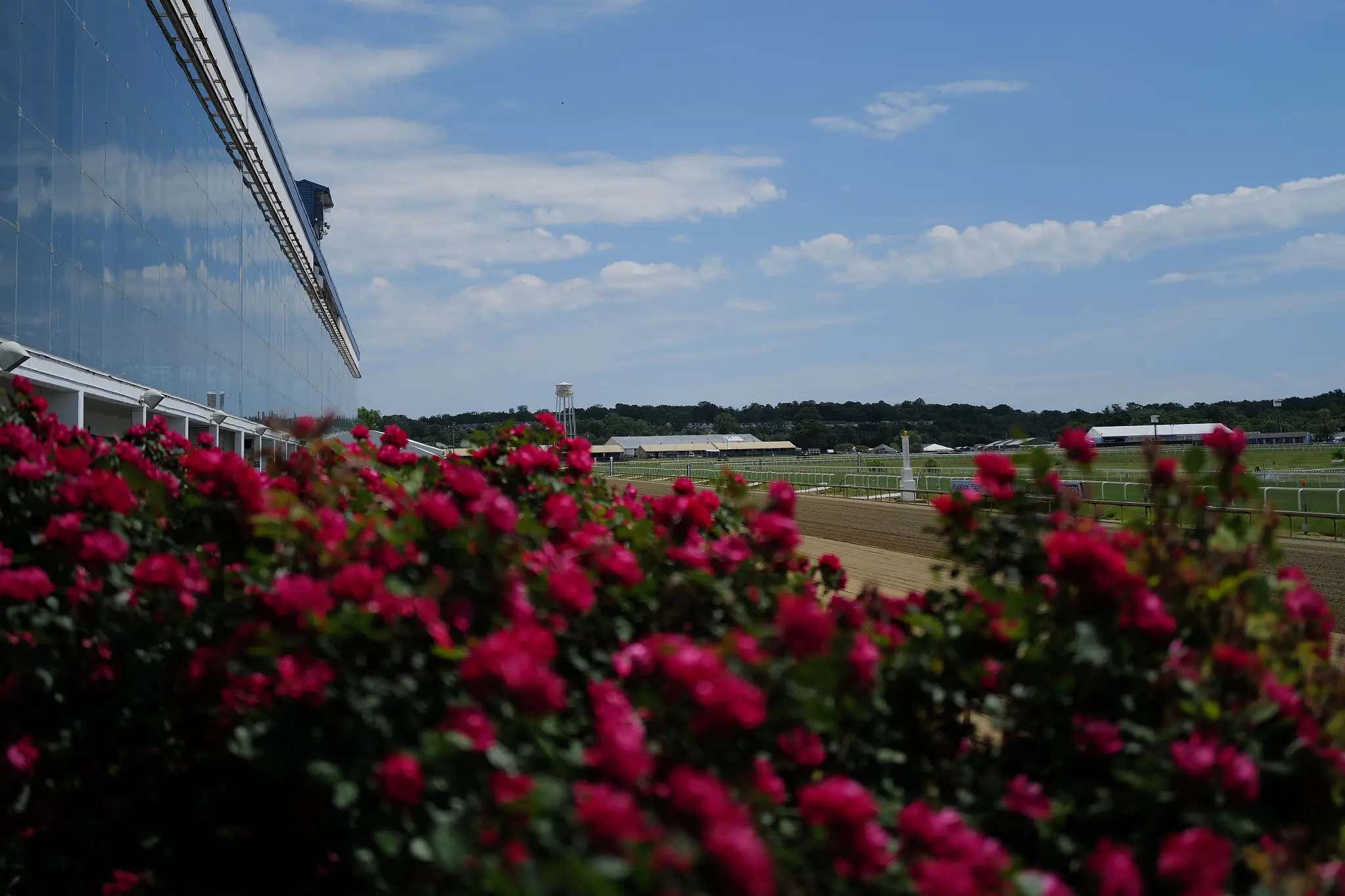 It's Preakness Day And The Final Picks Are In - Kentucky Derby Prepping With Mut 151st Preakness Edition