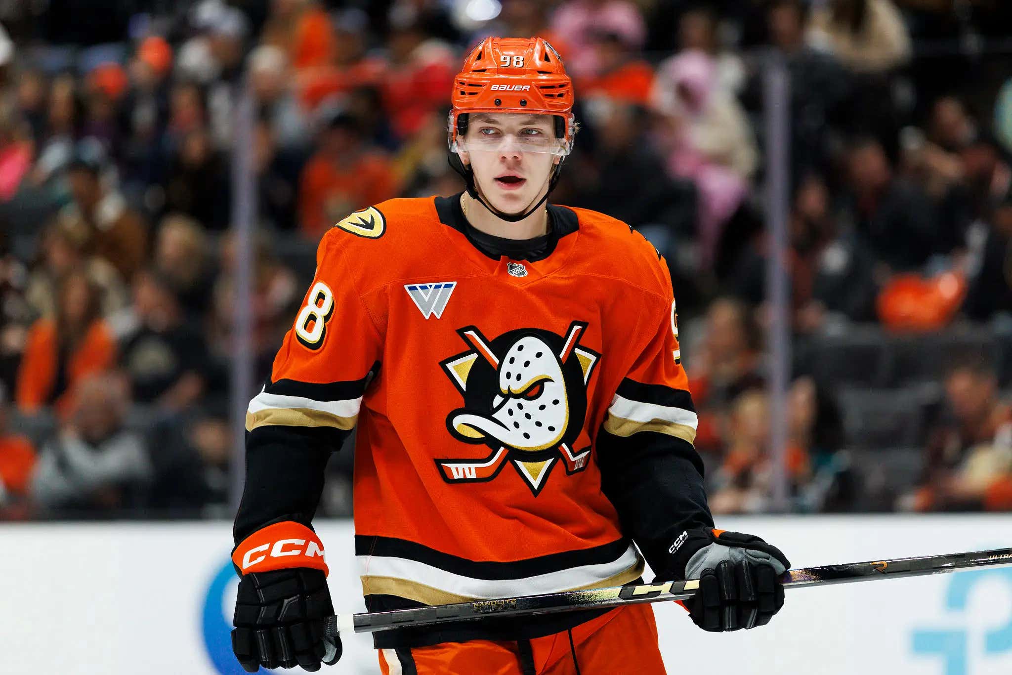 The Anaheim Ducks Have To Be The Most Despised Organization In All Of Hockey
