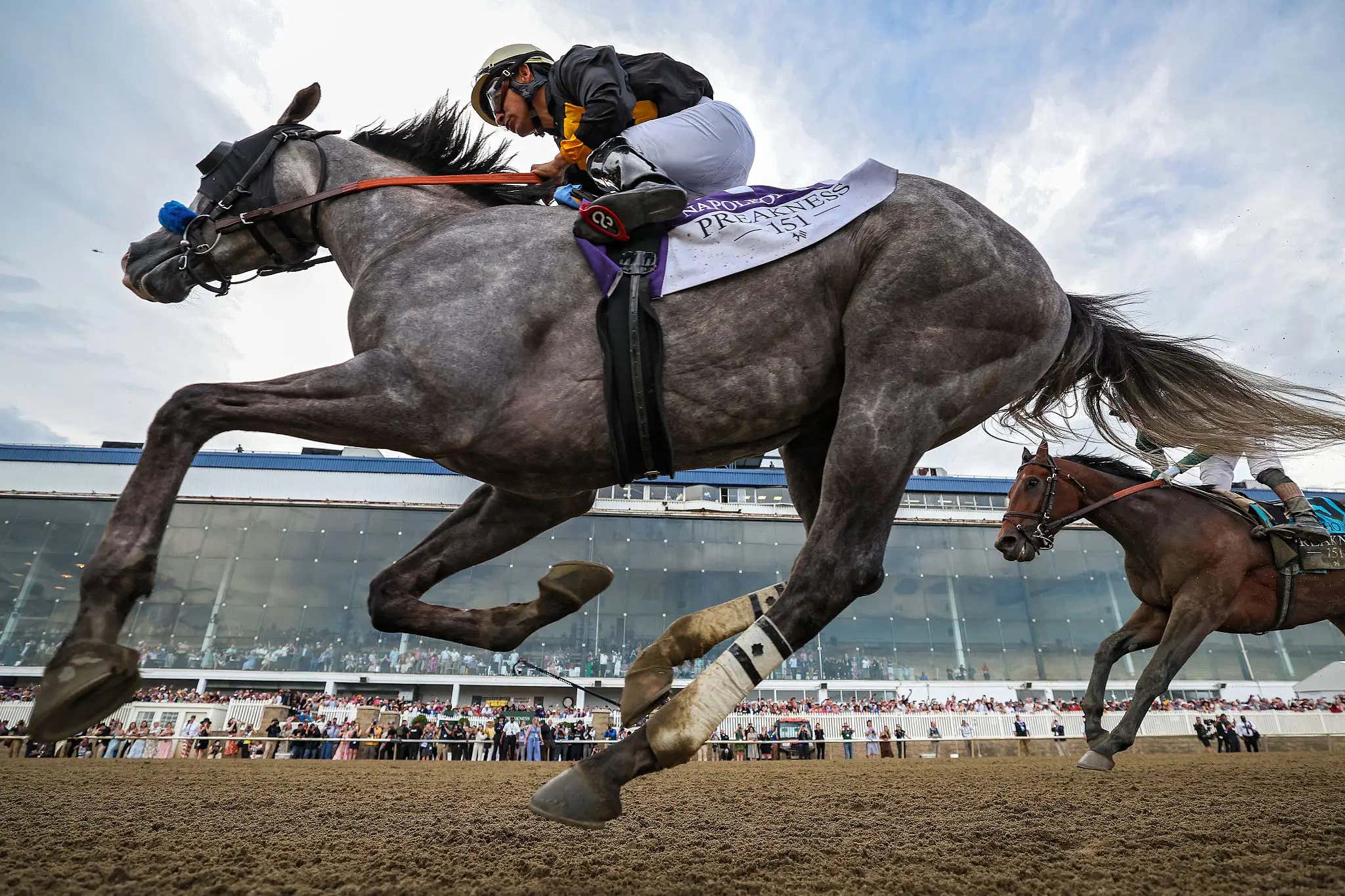 Preakness Winner Napoleon Solo Returns In The Grade One Haskell On Saturday And I'll Be Betting Against - At The Post With Mut