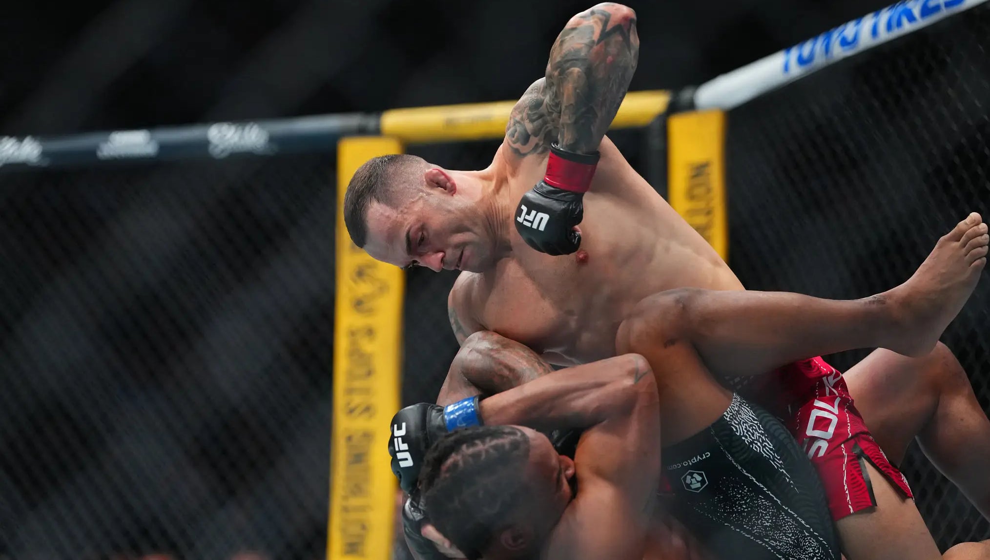 UFC 332 Has Been An Absolutely Awesome Card