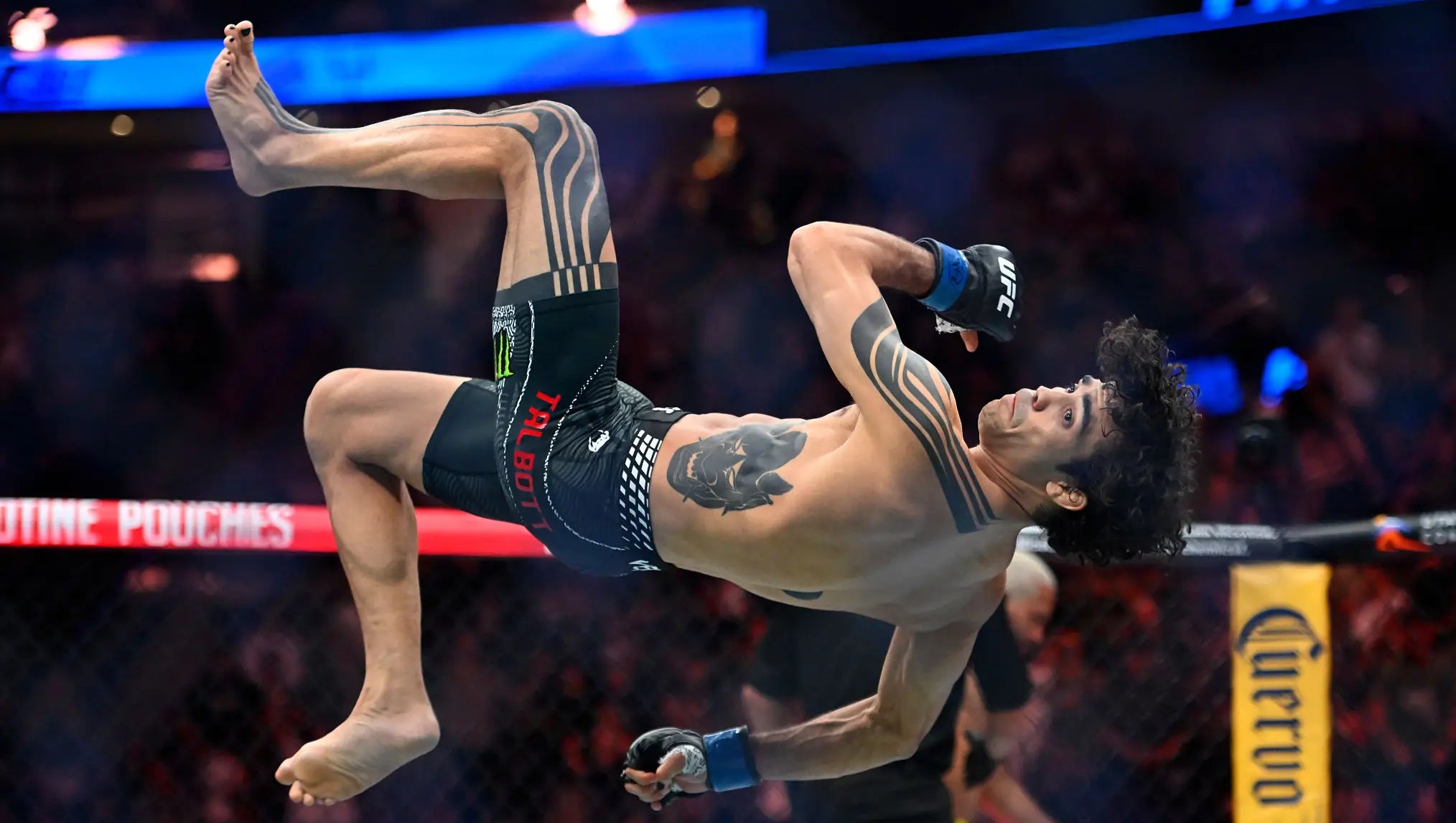 Payton Talbott May Be The UFC's Next Big Star