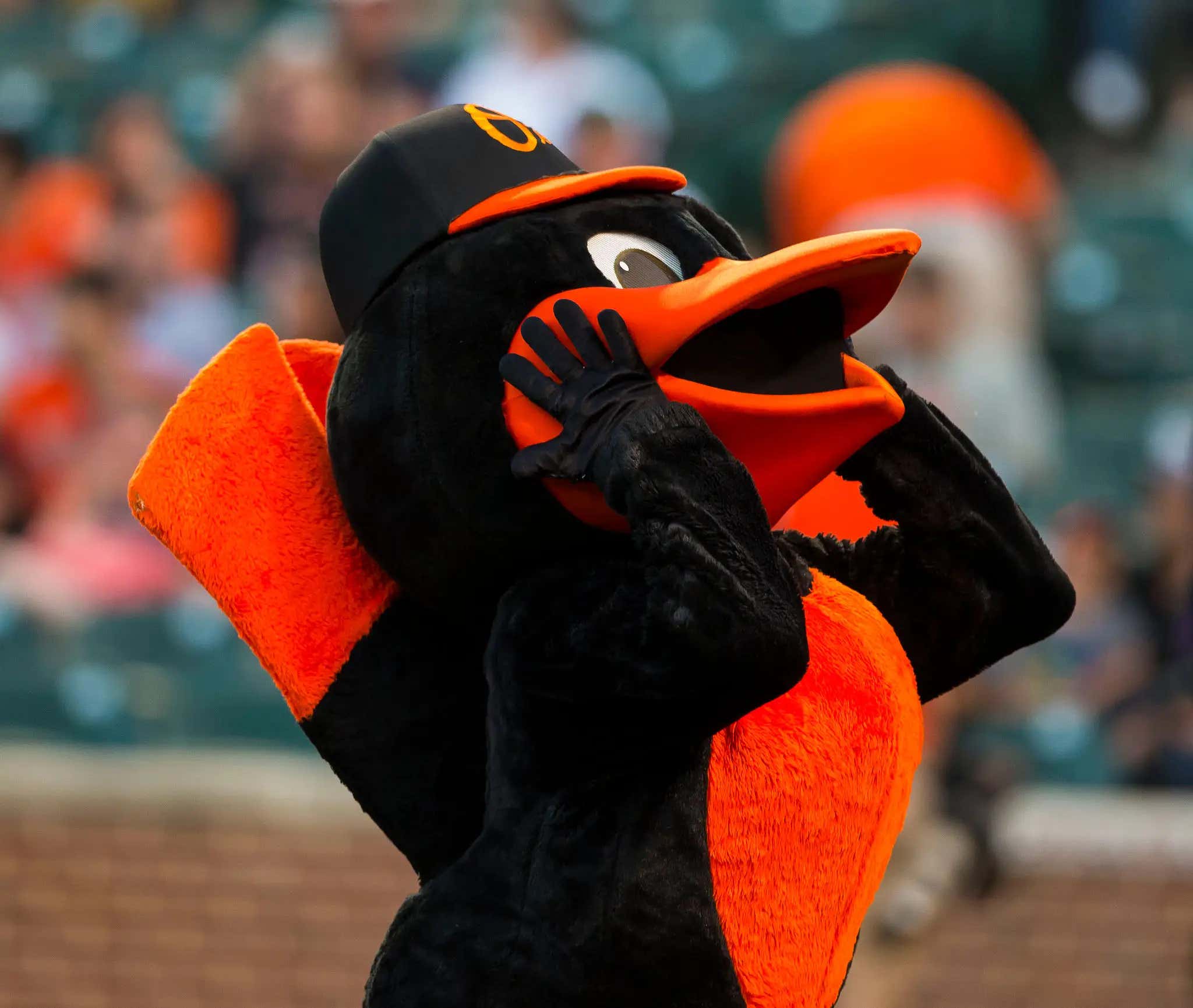 In Their Latest Round Of Layoffs The Orioles Reportedly Have Laid Off The Oriole Bird