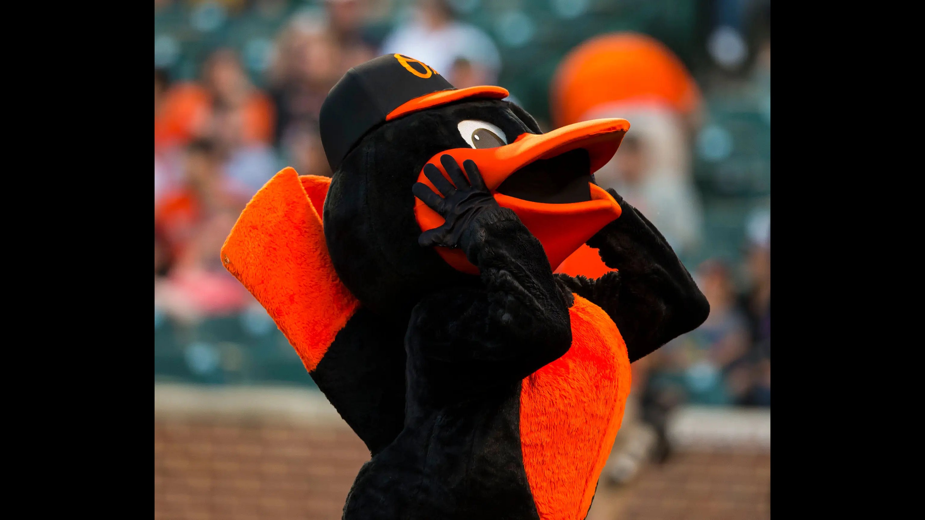 In Their Latest Round Of Layoffs The Orioles Reportedly Have Laid Off The Oriole Bird